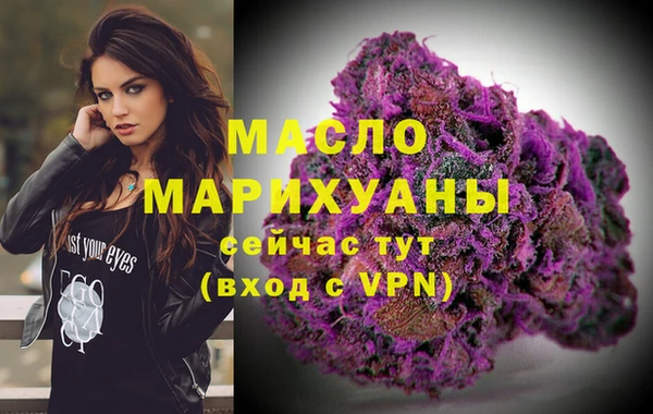 тгк Абаза