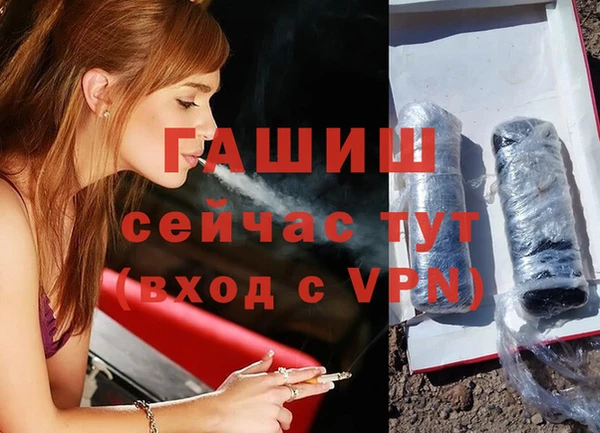 тгк Абаза