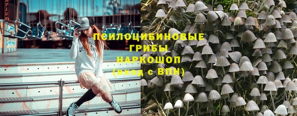 тгк Абаза