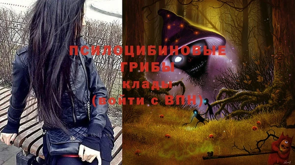 тгк Абаза