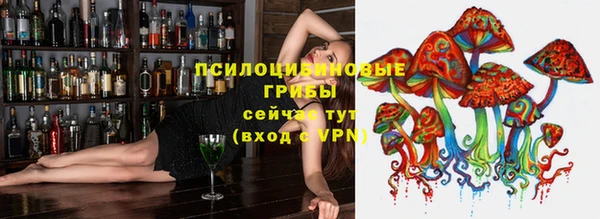 тгк Абаза