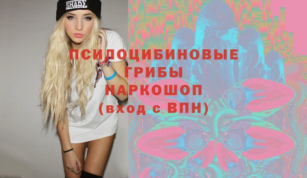 гидра Абинск