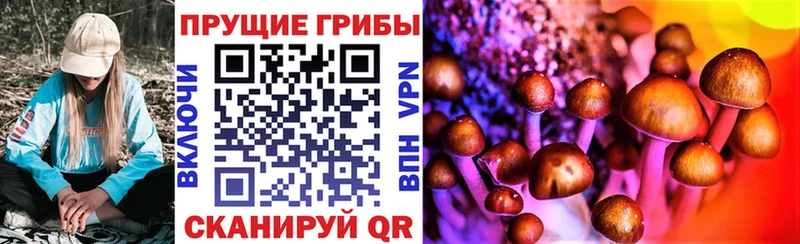 Псилоцибиновые грибы Psilocybe Шали